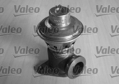 EGR Valve (700404)