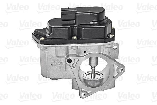 EGR Valve (700424)