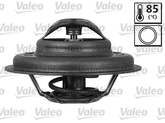 Thermostat, coolant (819929)