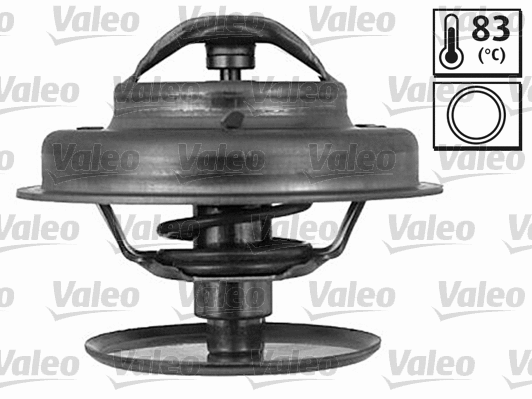 Thermostat, coolant (819839)