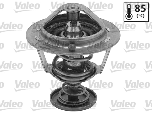 Thermostat, coolant (820552)