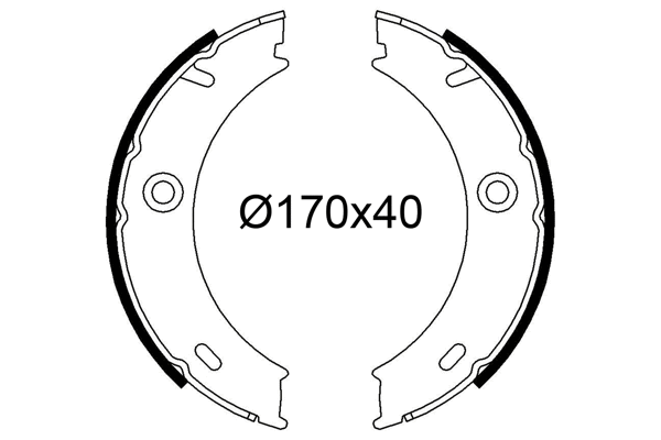 Brake Shoe Set (564289)