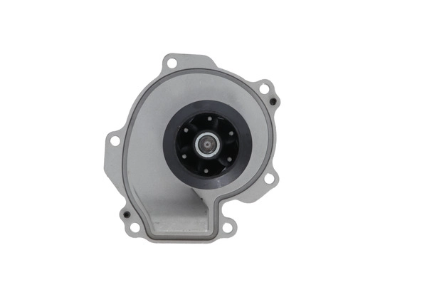 Water Pump, engine cooling (529399)