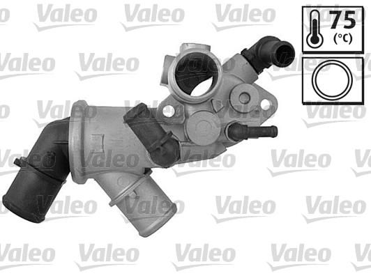 Thermostat, coolant (820451)