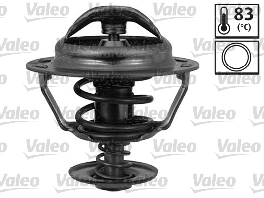 Thermostat, coolant (819950)