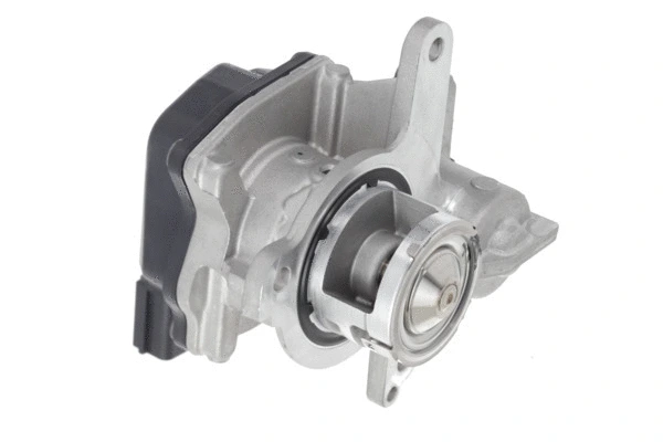 EGR Valve (700478)