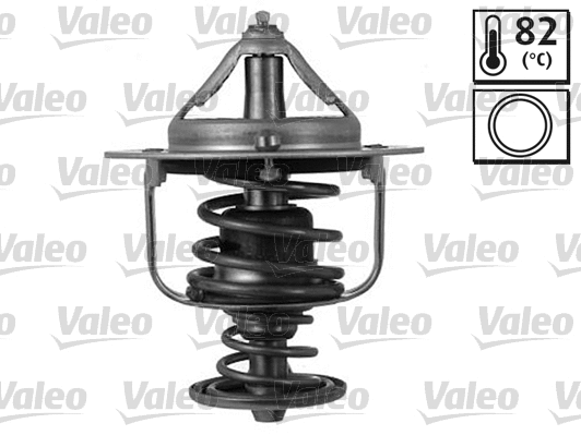 Thermostat, coolant (820793)