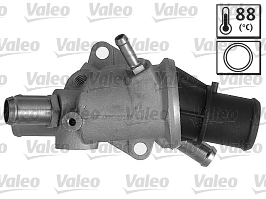 Thermostat, coolant (820449)