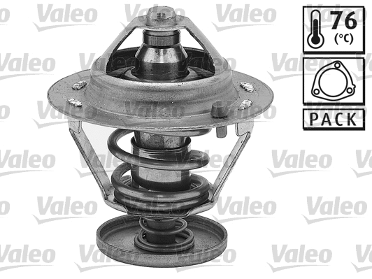 Thermostat, coolant (820515)