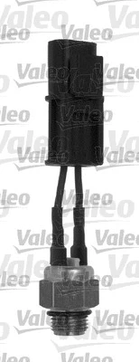 Temperature Switch, radiator fan (820234)