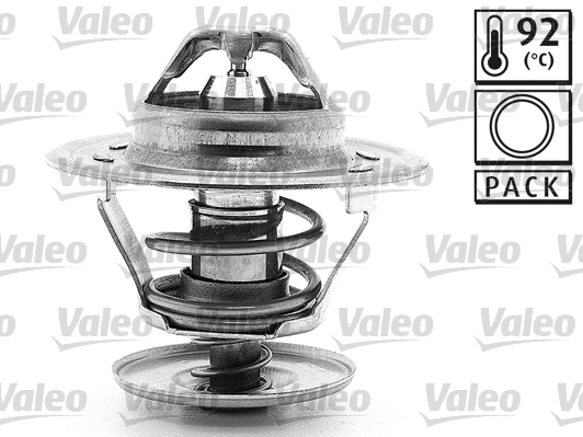 Thermostat, coolant (819869)