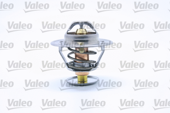 Thermostat, coolant (819908)