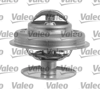 Thermostat, coolant (820918)