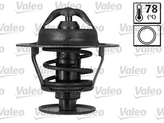 Thermostat, coolant (820053)