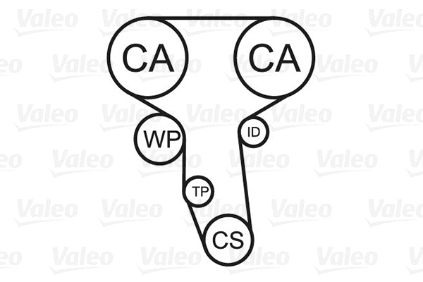 Water Pump & Timing Belt Kit