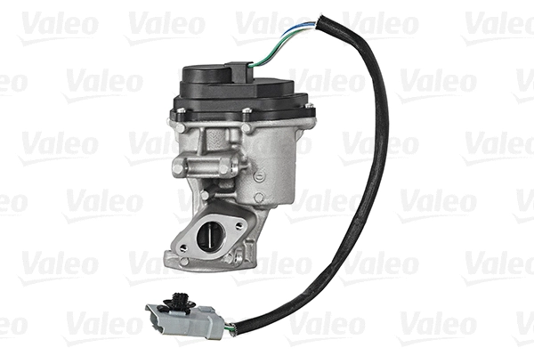 EGR Valve (700420)