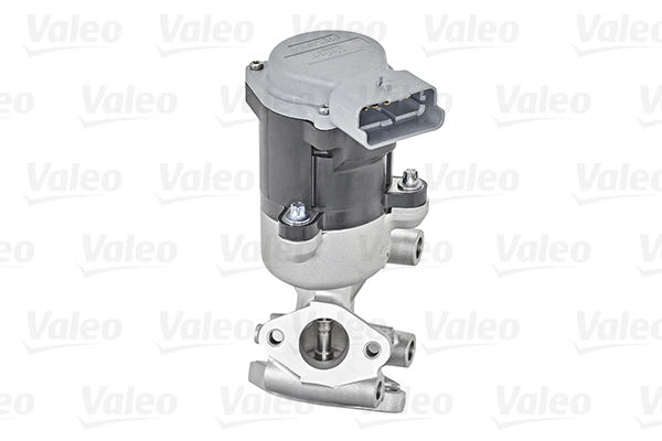 EGR Valve (700410)