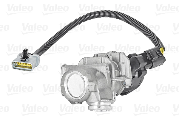 EGR Valve