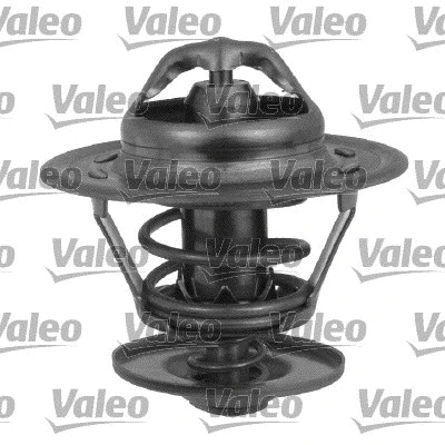 Thermostat, coolant (819910)