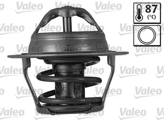 Thermostat, coolant (820262)