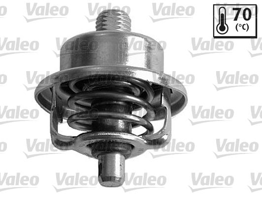 Thermostat, coolant (820444)