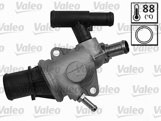 Thermostat, coolant (820448)