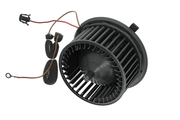Interior Blower (884517)