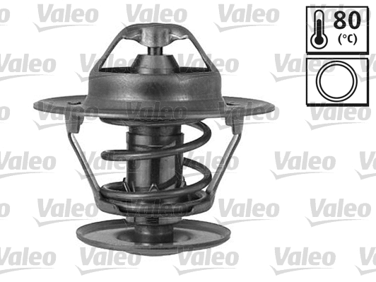 Thermostat, coolant (820525)