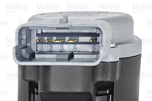 EGR Valve