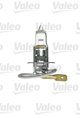 Bulb, spotlight (032004)