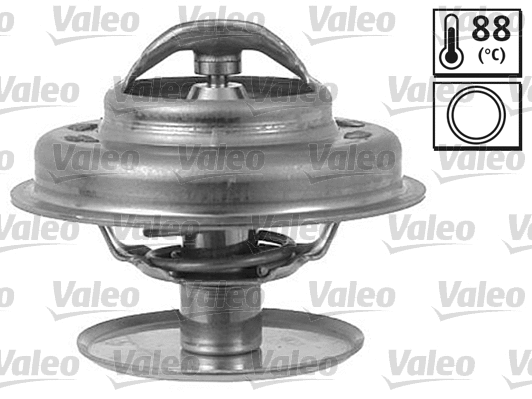 Thermostat, coolant (819891)