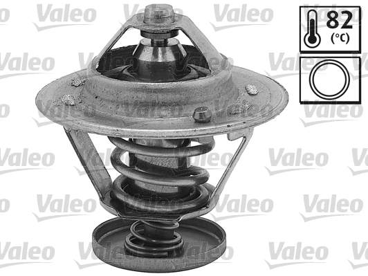 Thermostat, coolant (820933)
