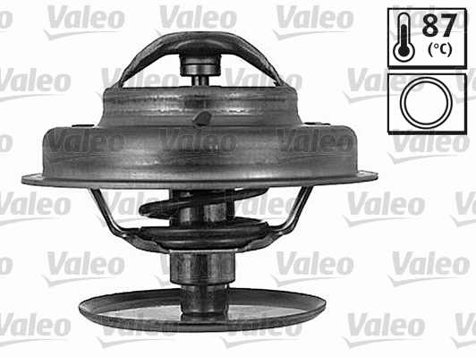 Thermostat, coolant (819841)