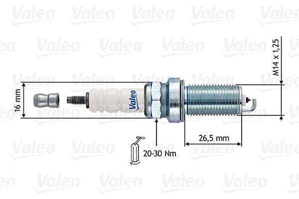 Spark Plug (246918)
