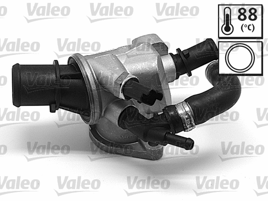 Thermostat, coolant (820578)