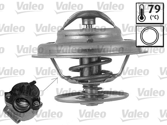 Thermostat, coolant (819872)