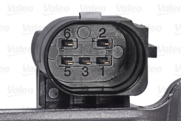 EGR Valve