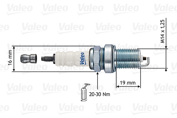 Spark Plug (246880)