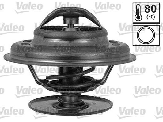 Thermostat, coolant (820520)