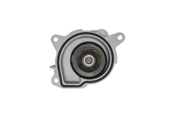 Water Pump, engine cooling (529529)