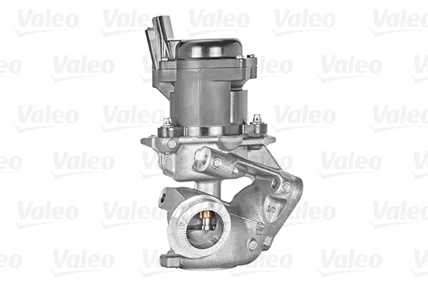 EGR Valve (700413)