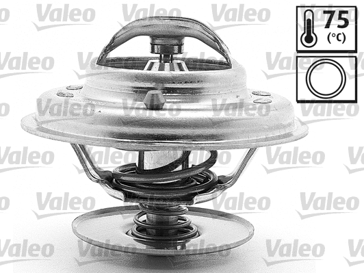 Thermostat, coolant (819870)