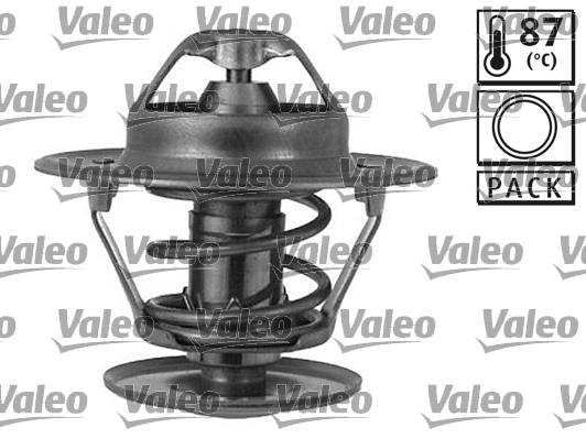 Thermostat, coolant (819847)