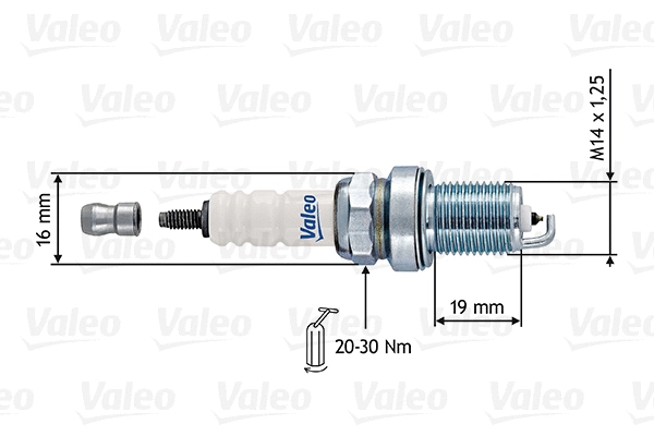 Spark Plug (246916)