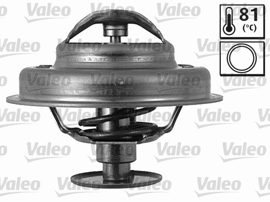Thermostat, coolant (819937)