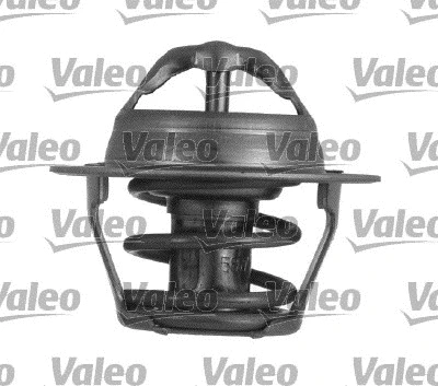 Thermostat, coolant (820915)