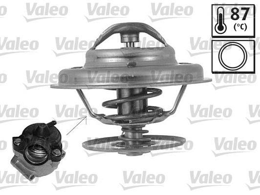 Thermostat, coolant (819873)