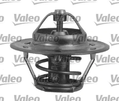 Thermostat, coolant (820916)