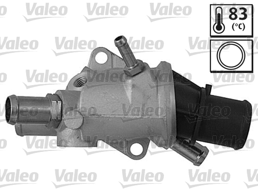 Thermostat, coolant (820461)