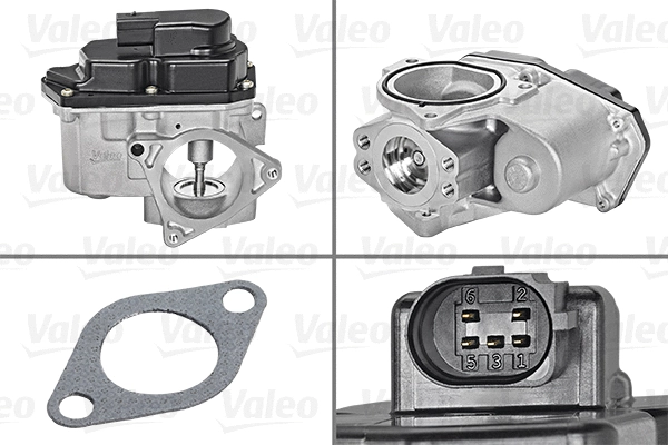 EGR Valve